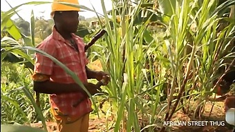 Experience A Unique Rendezvous In The Countryside As An Unfaithful Woman And Her Neighbor Get Intimate In The Open Field, Leading To A Daring Public Romp On An African Dirt Road.